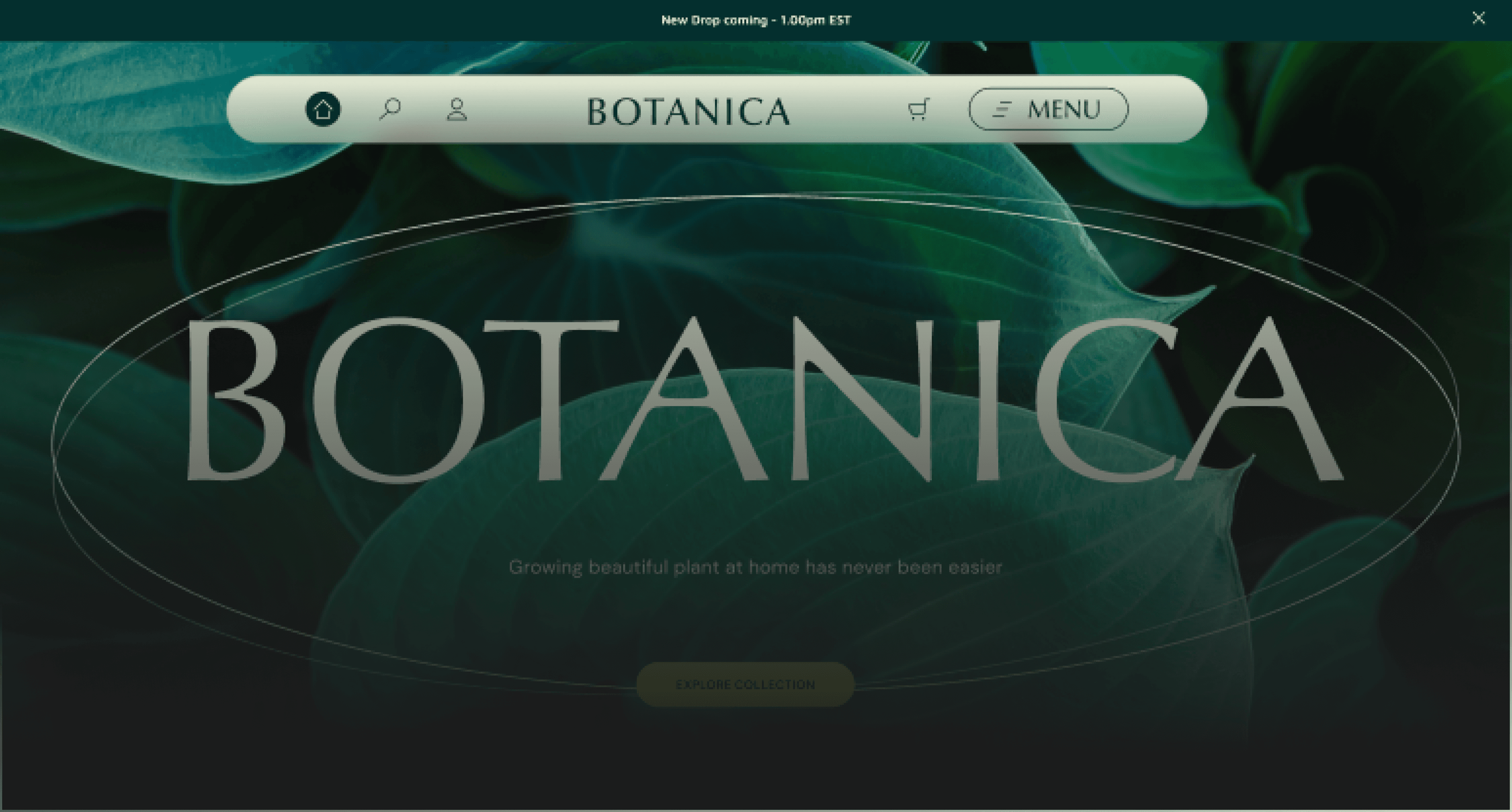 Slider Image